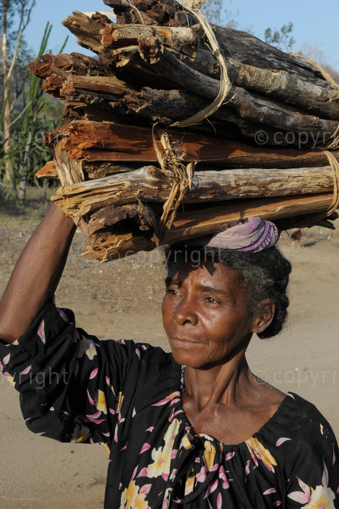 Southern Madagascar, 14 October 2009: Ranomaity Village. Marcelina chops and carries wood from the forest to her village. She sells most of her stock. The forests are being chopped down at an alarming rate and the advanced state of deforestation is believed to be a direct cause of the reduced rainfall.

Graeme Williams