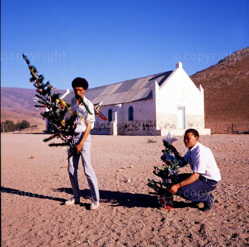 IPMG0620 South Africa, Kuboes, 1989: Christmas trees being taken to the church hall in the Northern Cape village of Kuboes, in the Richterveld. Dec 1989.
Photograph by Greg Marinovich/South Photographs