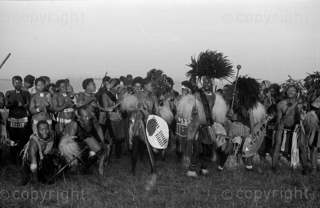 Zulu men and girls in traditional costumes for Indlamu dance.