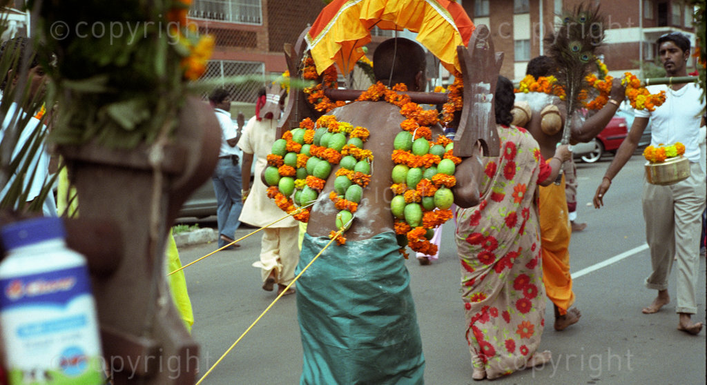 kavadi festival. hindu devotees pierce their skin with hooks hung and weighted with fresh flowers and limes. the hooks are also attached to cords with which a wagon is drawn along behind the devotee as they walk in a street procession. The divotee may if they choose not to pierce their skin just carry a Kavadi decorated with fresh flowers and limes on their shoulders. the festival is celebrated by the south indian hindu community world wide. Pietermaritzburg south africa. February 2009, PHOTO/JOHN ROBINSON
