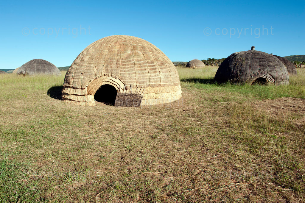 uMgungundlovu was the royal capital of the Zulu king Dingane (1828–1840) and one of several military complexes (amakhanda) which he maintained. He established his royal kraal in 1829 in the Emakhosini Valley against Lion Hill, just south of the White Umfolozi River. The name uMgungundlovu stems from the Zulu word or phrase ungungu we ndlovu, which means