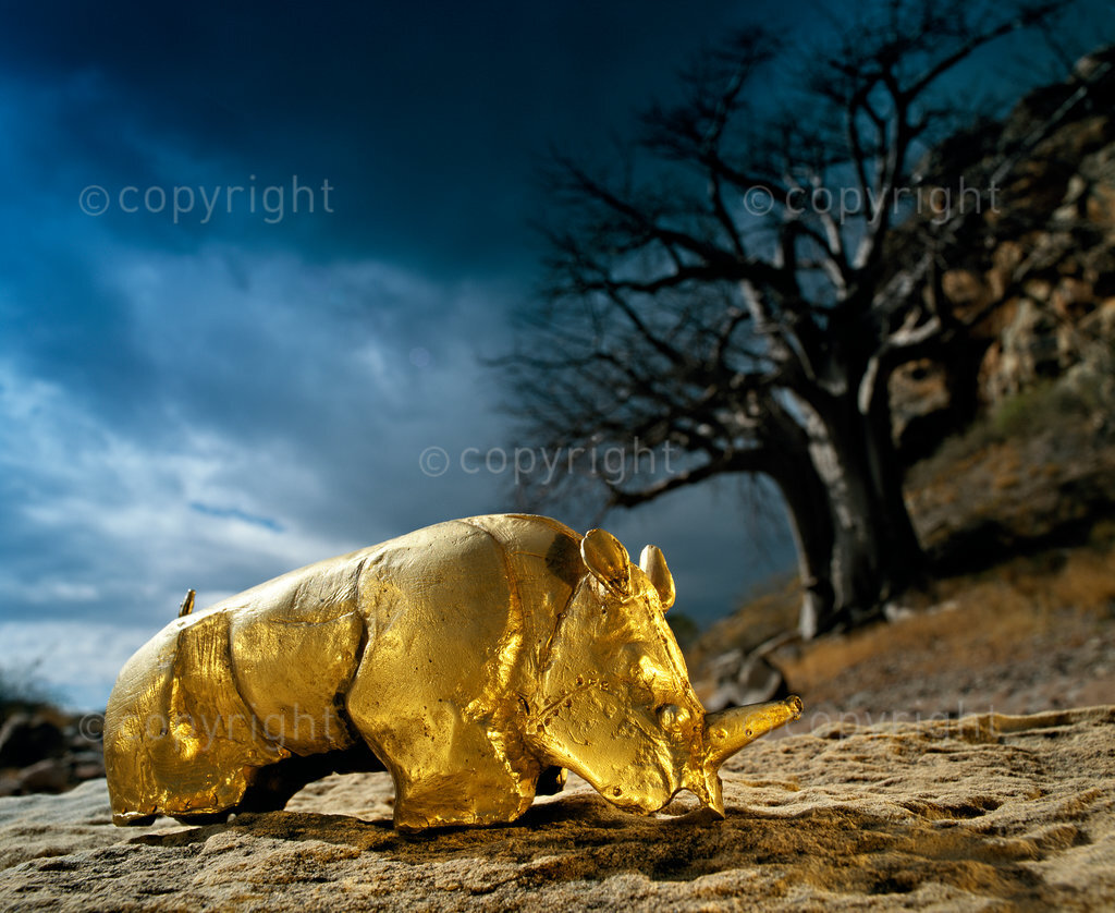A replica of the golden rhino found on the Mapungubwe Hill of an old tribe,  South Africa