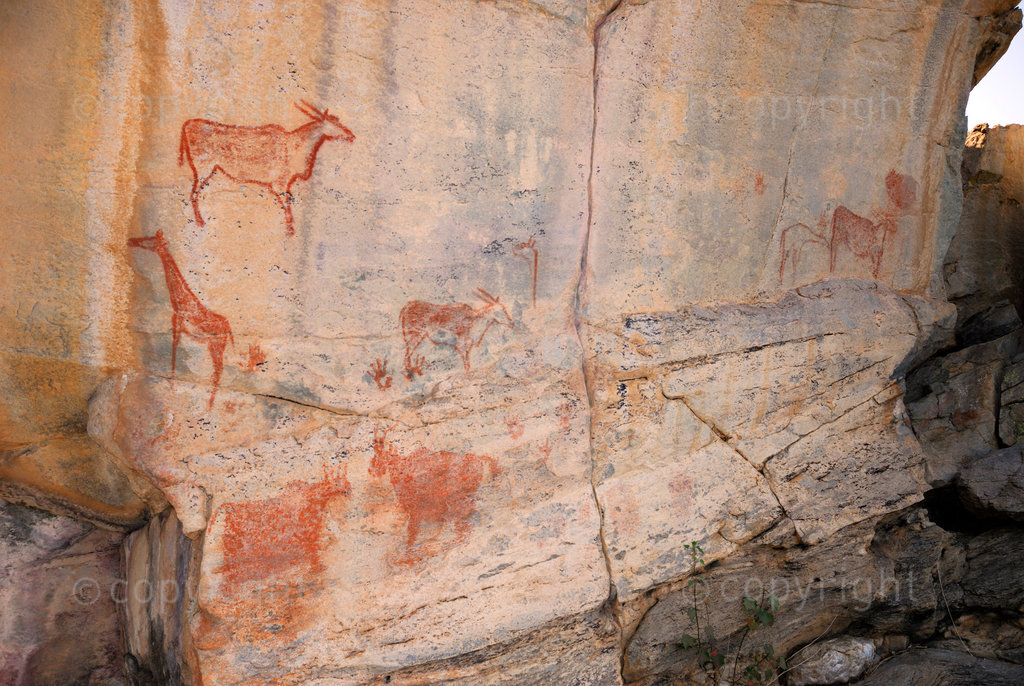 The Tsodilo Hills in Botswana are famous for the Bushman or San rock paintings found here. Here is the so called Laurens van der Post panel of giraffe and eland paintings made famous in his book The Lost World of the Kalahari in 1955.