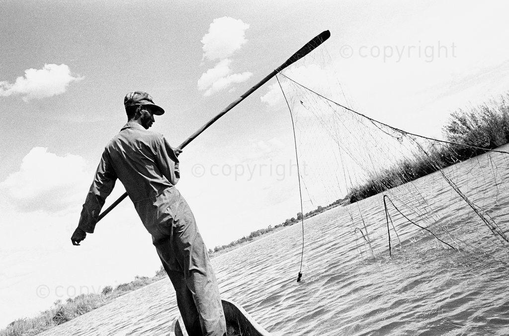 A fisherman pulls his nets, Okavango Delta, Botswana, 1996