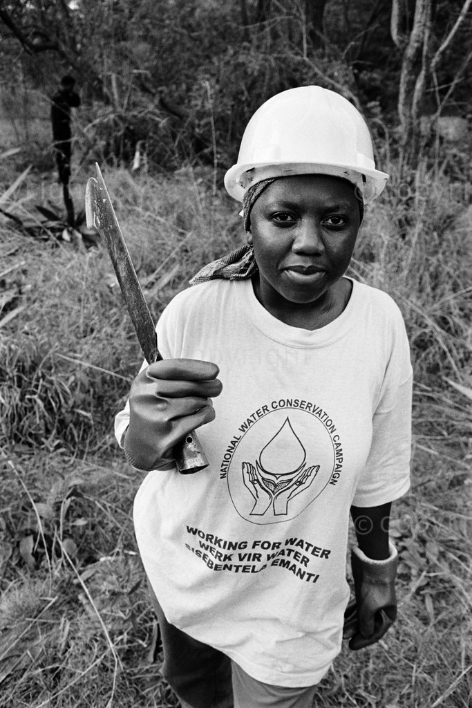 Working for Water campaign in Mpumalanga