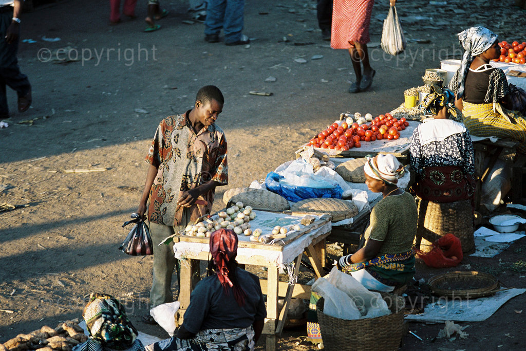 Informal trade, Soweto market - the informal sector represents the majoirty of working people in Zambia, April 2007