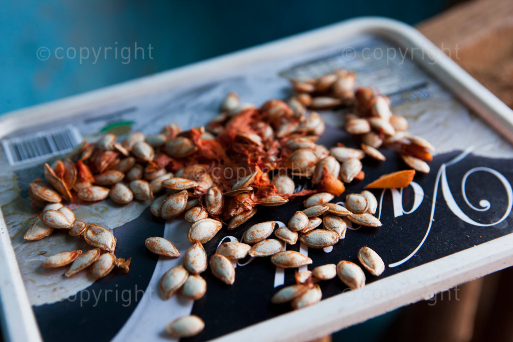 Pumpkin seeds are dried in a rural Zulu village. These will be planted in the subsistance fields around the homestead.