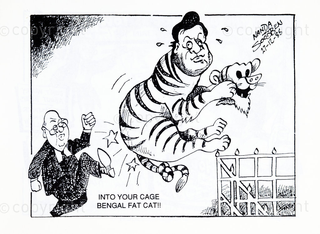 INTO YOUR CAGE BENGAL FAT CAT!!