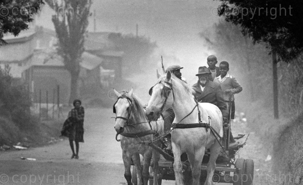 c. 1970. Horse drawn cart in Alexandra Township. Photo by Jan Nel. Â© Rand Daily/Times Media