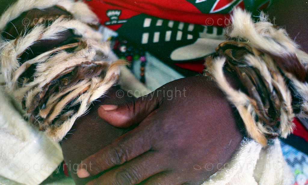 Colour photo of sangoma hands wearing goat skin bracelets; Zulu traditional healers talk about their work in plant conservation and primary health care including AIDS, Zululand, South Africa; documentary; 1998