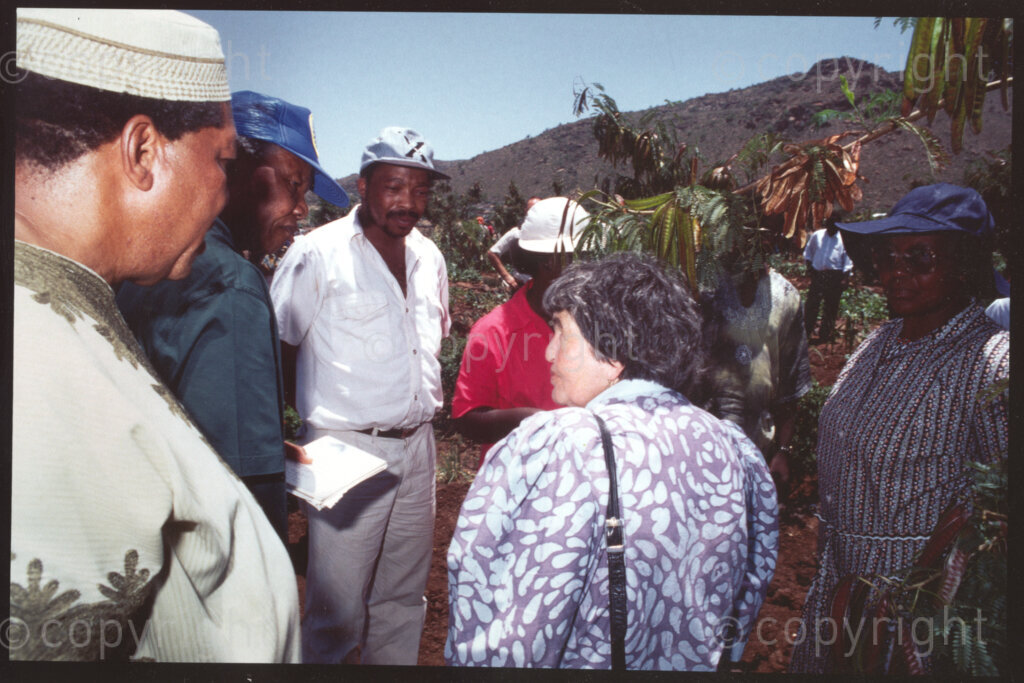Seopela village, Sekhukhuneland, Transvaal, South Africa, 19921130. PHOTO: ANC Archives.

From left to right: the Chairman of Operation Hunger, Michael Rantho, the President of the African National Congress (ANC), Nelson Mandela and Operation Hunger Deputy Director, Mpho Mashinini, discuss matters with Executive Director of Operation Hunger, Ina Perlman (back to the camera), in the Mohala Garden, Seopela village, Sekhukhuneland in November 1992.
