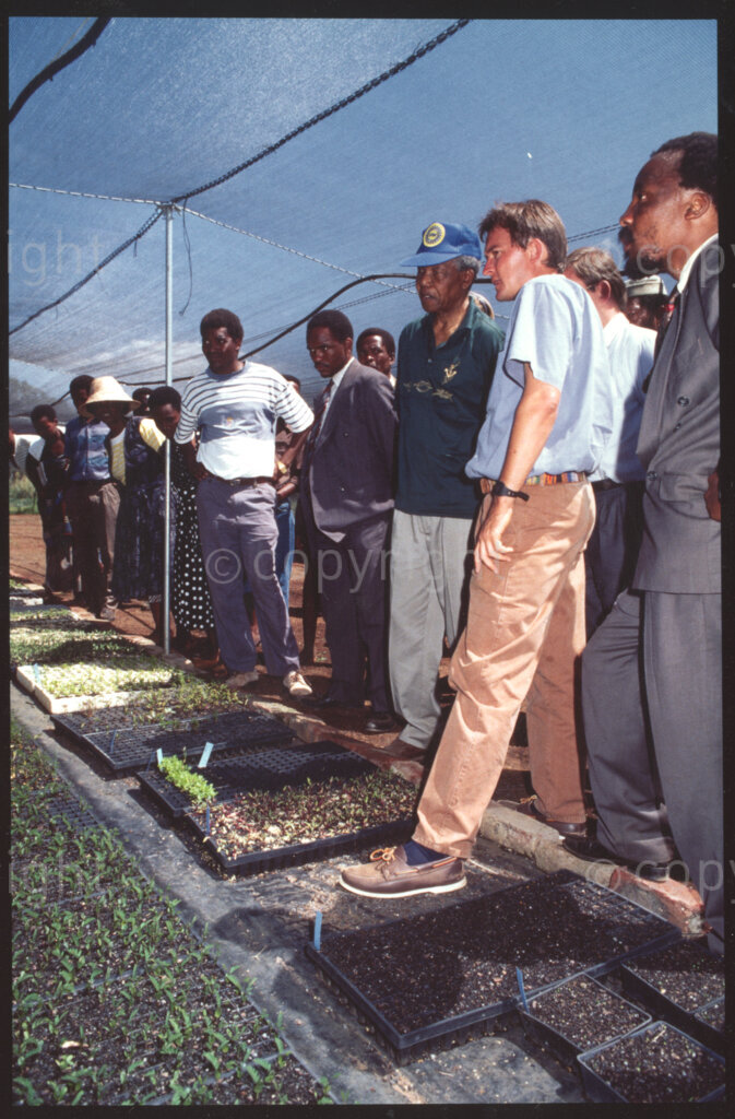 Furse Agricultural Center, Jane Furse, Sekhukhuneland, Transvaal, South Africa, 19921130. PHOTO: ANC Archives.

Operation Hunger Regional Director (for the Northern Transvaal), Johann Rissik (second right), leads the President of the African National Congress, Nelson Mandela (centre), on a tour through the seedling nursery at the Jane Furse Agricultural Center, Sekhukhuland in November 1992. The agricultural centre is an initiative run by Operation Hunger to alleviate poverty in the area.