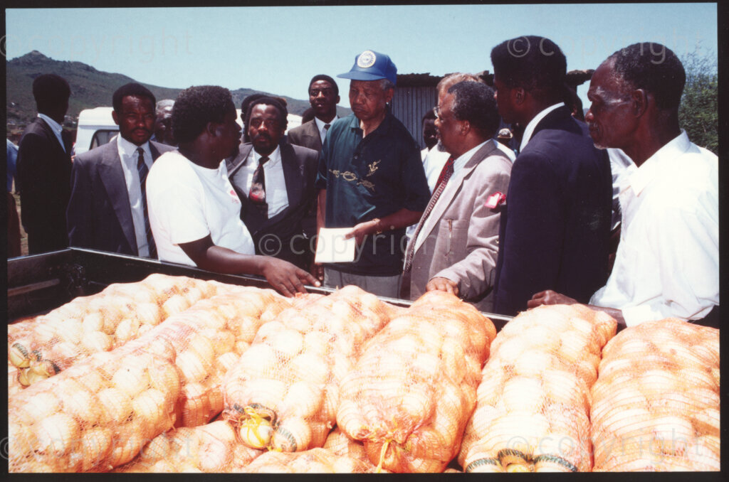 Maila Mapitsane village, Sekhukhuneland, Transvaal, South Africa, 19921130. PHOTO: ANC Archives.

Frans Themba (left), an Operation Hunger senior relief field worker shows the President of the African National Congress (ANC), Nelson Mandela (centre) a truckload of onions grown at Makua Garden, Maila Mapitsane village, Sekhukhuneland in November 1992.
