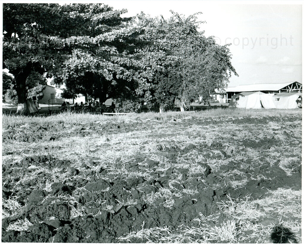 Outdoor education and agricultural fields in the ANC Development Centre Dakawa, Tanzania, 1983/84. Photo: Eli Weinberg Photo Lab.