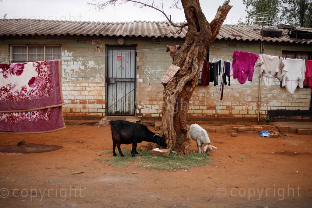 Clothes hanging to dry at the Nancefield Hostel in Klipspruit, Soweto, south west of Johannesburg in Gauteng, South Africa. 08/09/21 Photo: Oupa Nkosi 
