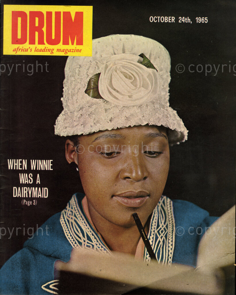 When Winnie was a Dairymaid; Verso: Winnie Madikizela Mandela. Sophisticated, South Africa's most beautiful banned person. (Just about the best known woman in South Africa married to just about the best known man). Once upon a time was a village girl herding cattle... and she can still milk a cow with the best of them, as she proved with a spirited demonstration for photographer Alfred Kumalo.