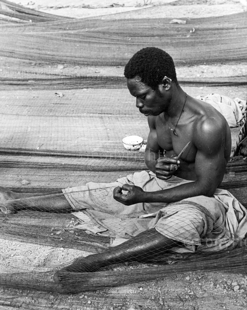 Ghana Fishing Industry – A man sitting and knitting fishing net. New fishing methods are changing many lives in Ghana. The rich harvest of the sea can help in establishing our modern state. It all began with the Fante, who, by the end of the eighteenth century, has become weatherwise fishermen, sailing west along the coast of Ghana in courageous flotillas teaching others their skills.