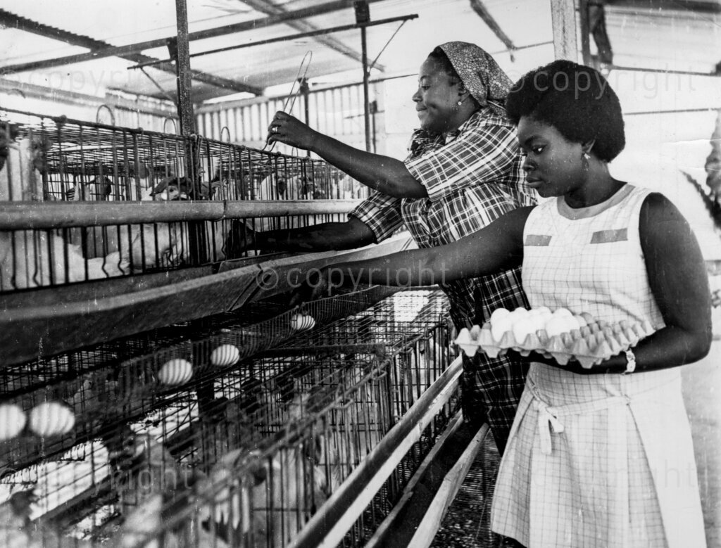 Mrs Letitia Omaboe and daughter at their favourite poultry; wife and daughter of EN Omaboe.