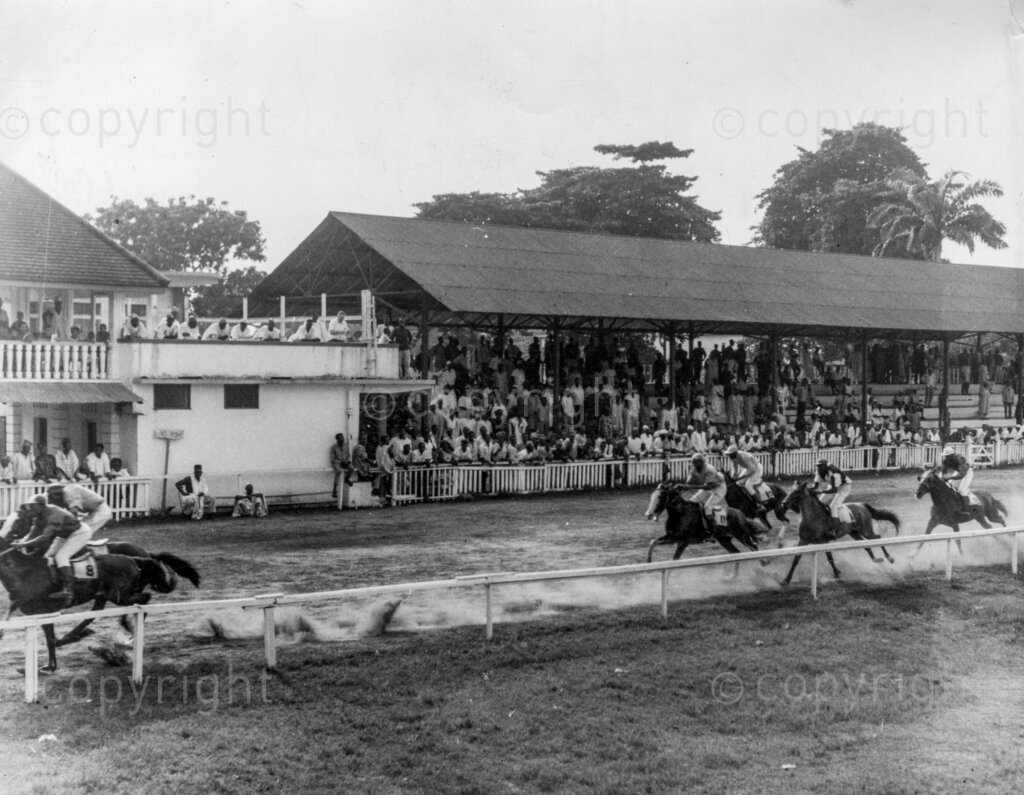Can racing be saved? The interest in horse racing has declined over the past years. What is responsible for this decline? Certainly not the horses. With but a few notable exceptions, the past ten years or so have seen a decline in the standard of performance in Nigerian sports. But in no field has this decline been so marked as in racing.