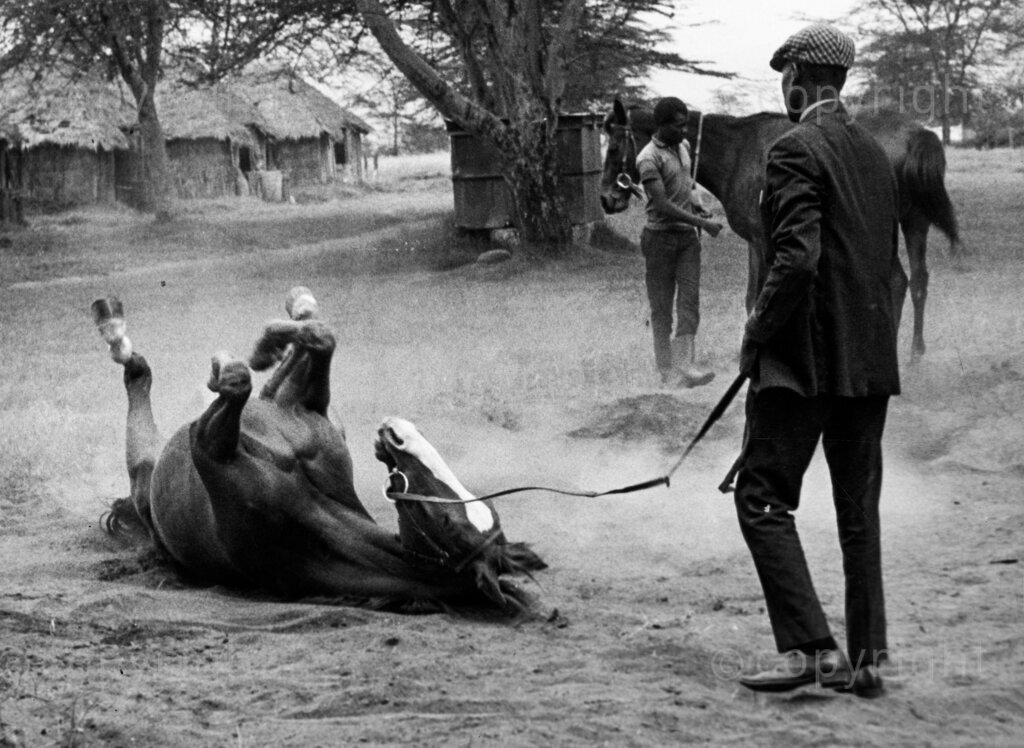Can racing be saved? Jockey rider. With but a few notable exceptions, the past ten years or so have seen a decline in the standard of performance in Nigerian sports. But in no field has this decline been so marked as in racing.