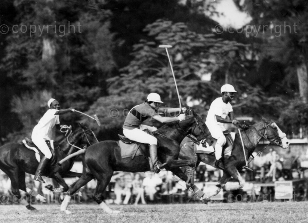 Horses: The Polo Prince – Brig Hassan Usman Katsina, in action during the polo tournament.