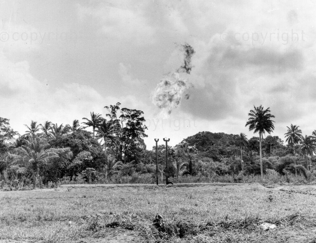 Oil In Nigeria. How oil was found. Gas is flared off, oil has been found, but the gas which goes with it must be flared off at Bomu Natural oil gas, if it cannot be adapted to domestic use. The discovery of oil in Nigeria has marked the beginning of a new and vital era in the development of the country. It has opened up vast economic vistas, paths to prosperity along which all may one day tread. The search has been a long and costly one. It has demanded enterprise and capital, daring and foresight. These have not been lacking, and from swamp and jungle the liquid gold that is oil now spurts triumphantly forth. Shell-BP began search for the oil in Nigeria in 1937.