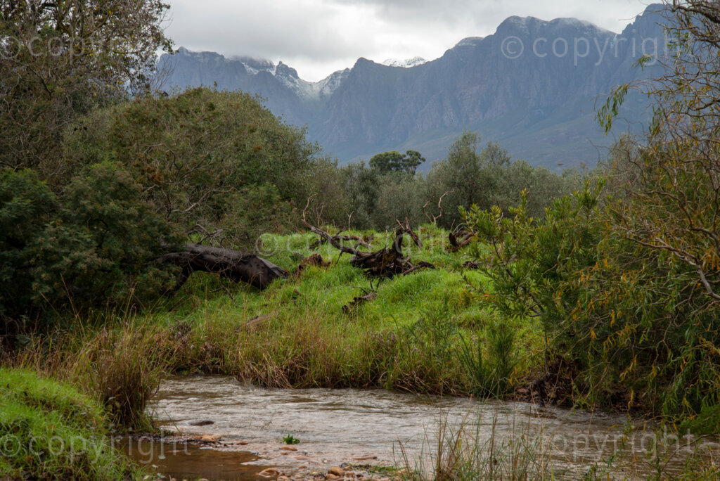 Snow on the he Hottentots Holland Mountains, as seen from Somerset West, in the Western Cape, on Friday, June 12, 2020. The Helderberg area saw cold temperatures and about 80mm of rain in the past three days. PHOTOS: EVA-LOTTA JANSSON

