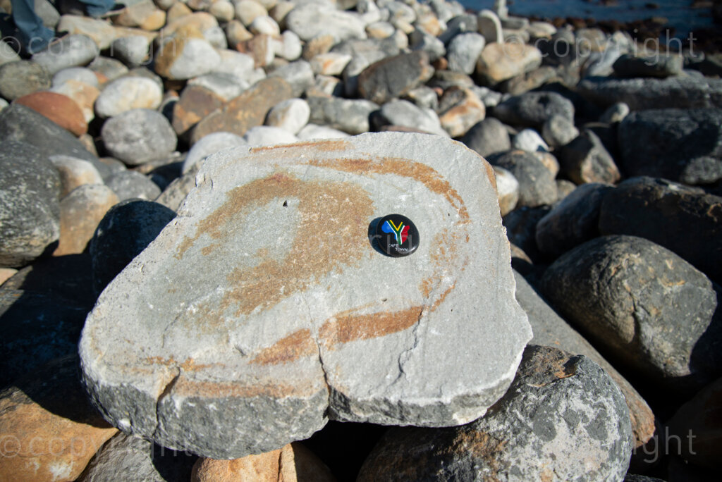 Rock artist Lara Thompson's daugther Shae, 12, demonstrates how they hide her mother's rocks for people to find near Slangkop light house in Kommetjie, Cape Town, Thursday, July 17, 2020. PHOTO: EVA-LOTTA JANSSON 