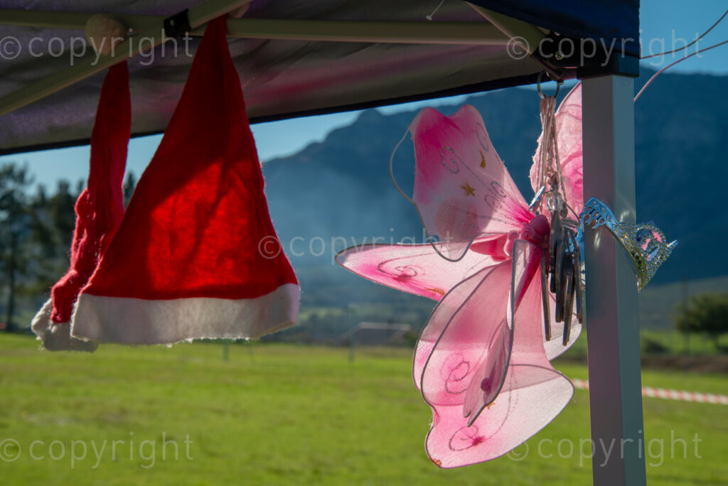 Two Santa hats, butterfly wings and a toy tiara is up for grabs at a 