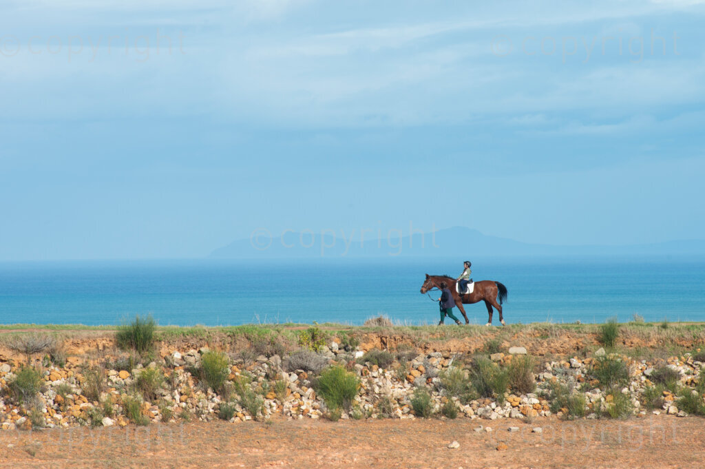 A girl is lead on a horse on a private piece of land in Somerset West, free for the public to use, on Saturday, June 13, 2020. While the number of positive Coronavirus cases in South Africa soared past 70,000 people, and the country adjusted to an easing of lockdown restrictions, public parks remained closed. The City of Cape Town, on Monday, reiterated that reserves, conservation areas, parks and beaches under the City's management remained closed to the public on Level 3 of the lockdown. However, the city said it had appealed to the national government to amend the regulations to allow access to these public spaces. PHOTO: EVA-LOTTA JANSSON 