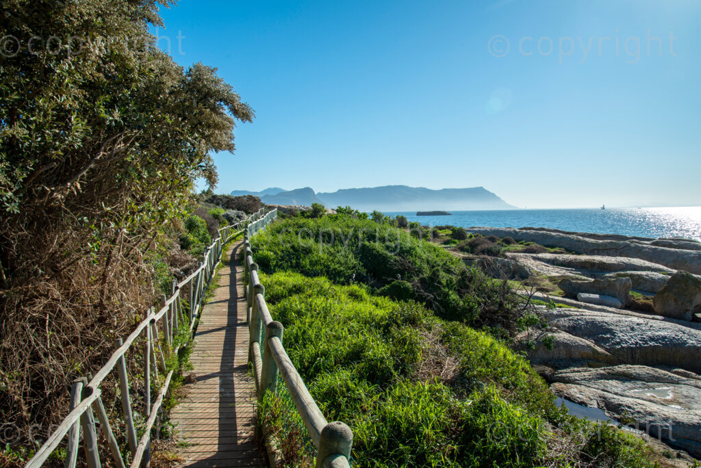 A walkway near Boulder's Beach, the popular penguin watching-spot in Simon's Town. While Boulder's Beach is closed, this nearby path was accessible. While public spaces, in theory, are closed under Level 3 lockdown regulations, much of the public seemed to have decided that these spaces are now open. Workers could also be seen tidying up some of these spaces today, Wednesday June 24, 2020. The city of Cape Town has appealed to the national government to ease the lockdown on public spaces, and it appears they may be preparing to open officially. PHOTO: EVA-LOTTA JANSSON