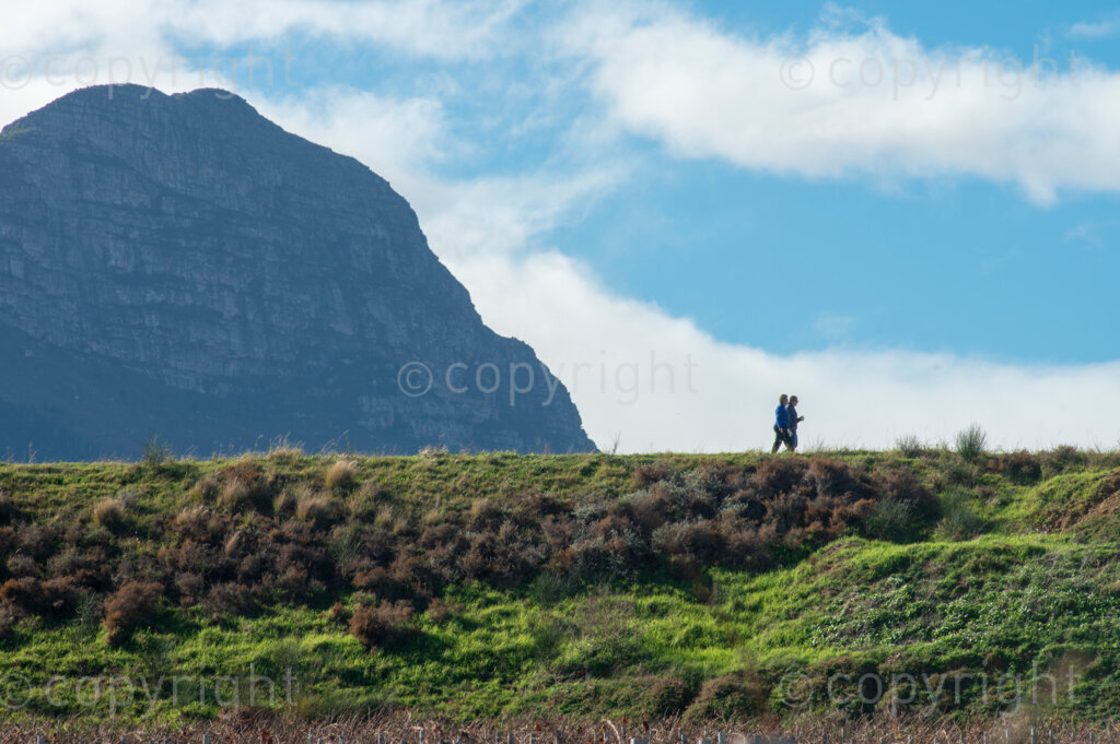 A pair of walkers are seen walking on a private piece of land in Somerset West, free for the public to use, on Saturday, June 13, 2020. While the number of positive Coronavirus cases in South Africa soared past 70,000 people, and the country adjusted to an easing of lockdown restrictions, public parks remained closed. The City of Cape Town, on Monday, reiterated that reserves, conservation areas, parks and beaches under the City's management remained closed to the public on Level 3 of the lockdown. However, the city said it had appealed to the national government to amend the regulations to allow access to these public spaces. PHOTO: EVA-LOTTA JANSSON 