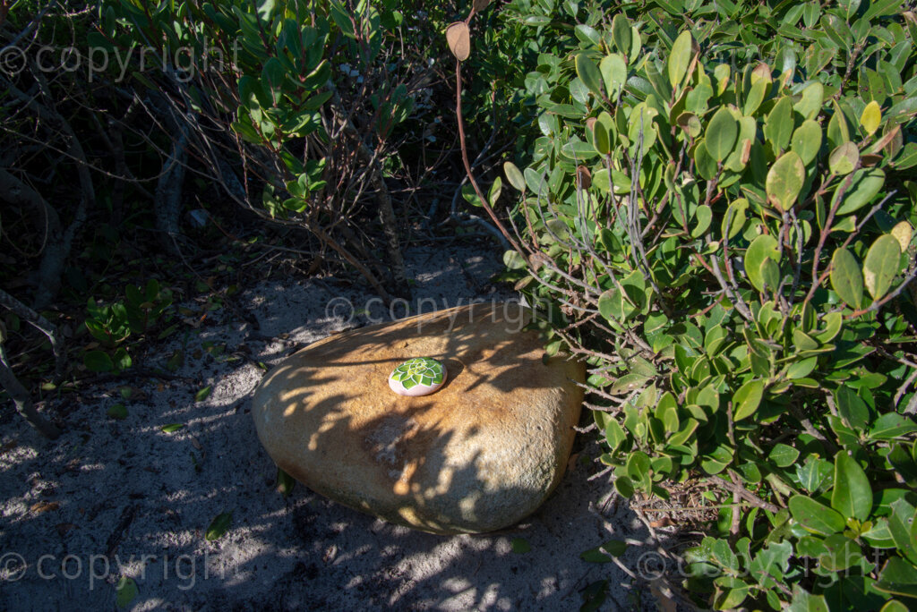 Rock artist Lara Thompson's daugther Shae, 12, demonstrates how they hide her mother's rocks for people to find near Slangkop light house in Kommetjie, Cape Town, Thursday, July 17, 2020. PHOTO: EVA-LOTTA JANSSON 